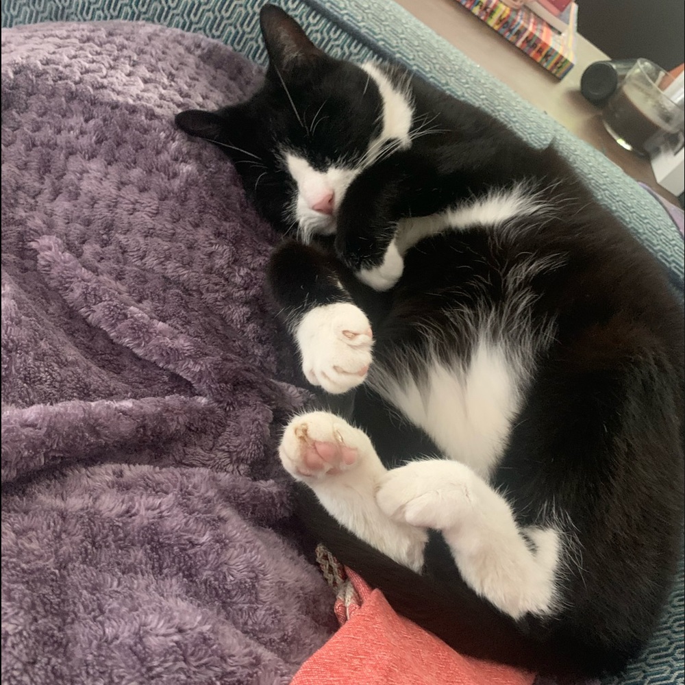 Meet your Posher, Cara